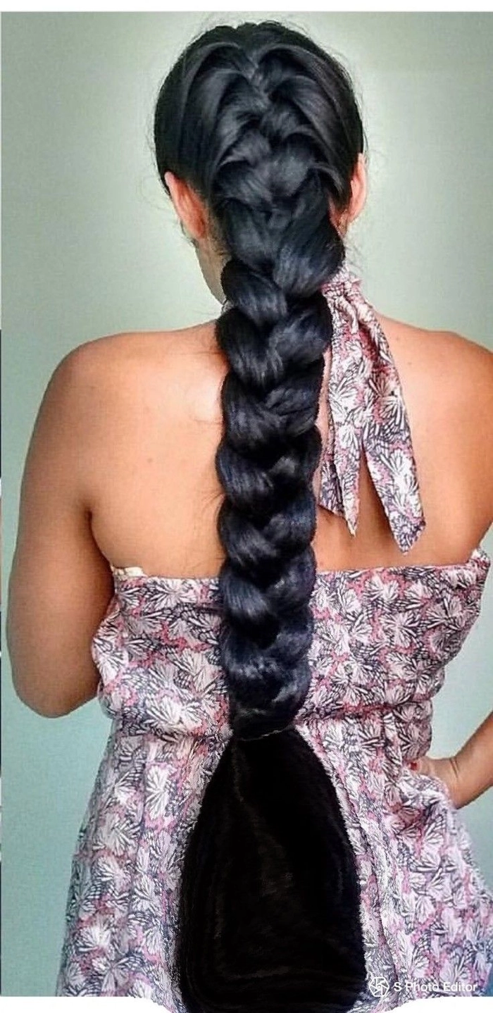 Elegant Gala Braids for Thick Heavy Hair