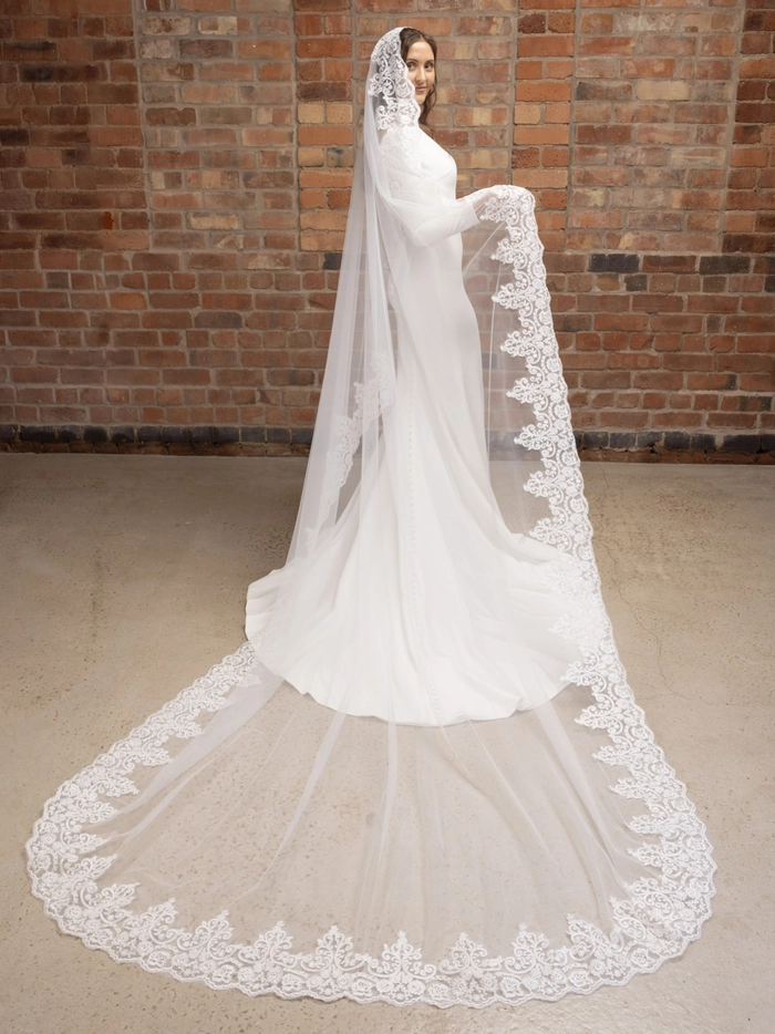 Stunning wedding hairstyle showcasing a long cathedral veil and classic updo Elegant bridal hairstyle featuring a cathedral veil with intricate lace detailing